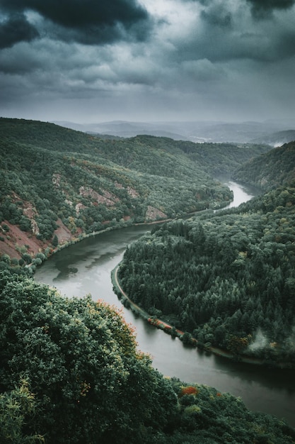 Hooghoekbeeld van de rivier te midden van bomen tegen de lucht
