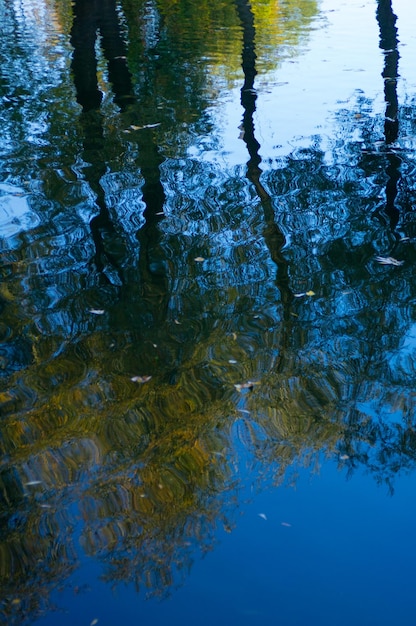 Foto hooghoekbeeld van de weerspiegeling van bomen op het meer