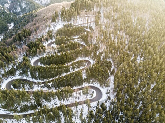 Foto hooghoekbeeld van de weg tussen de bomen