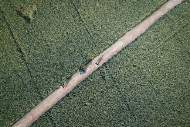 Foto hooghoekbeeld van de weg