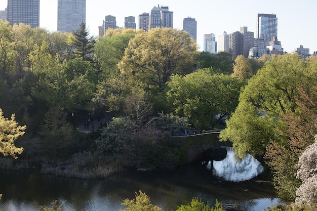 Foto hooghoekbeeld van de winterbrug in central park