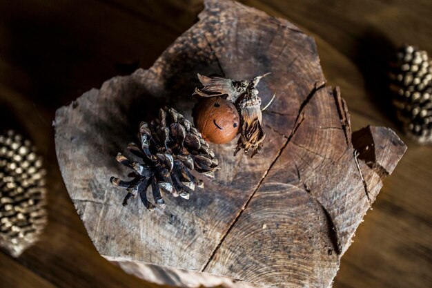 Foto hooghoekbeeld van droog blad op hout