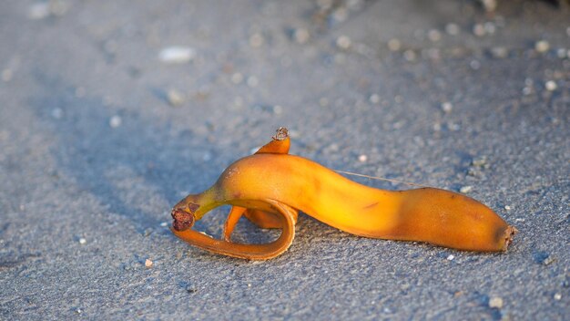 Foto hooghoekbeeld van een banaan op de weg