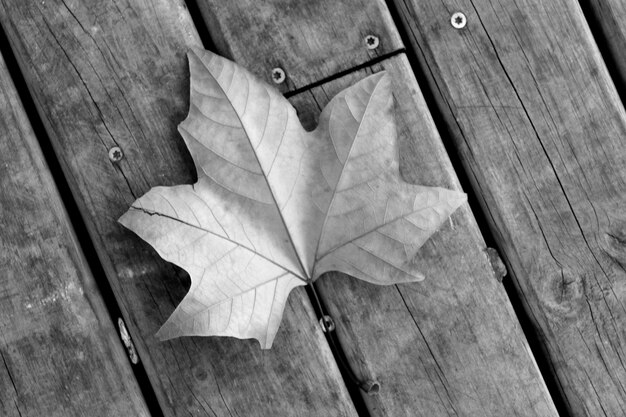 Foto hooghoekbeeld van een droog blad op een houten plank