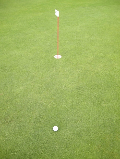 Hooghoekbeeld van een golfbal met een vlag op het gras