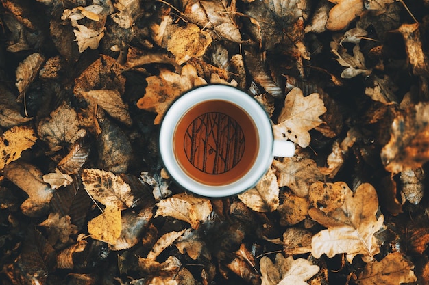 Hooghoekbeeld van een koffiekop