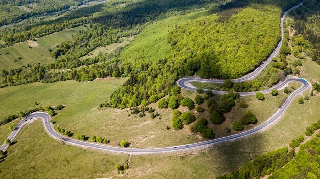 Foto hooghoekbeeld van een kronkelende weg te midden van bomen