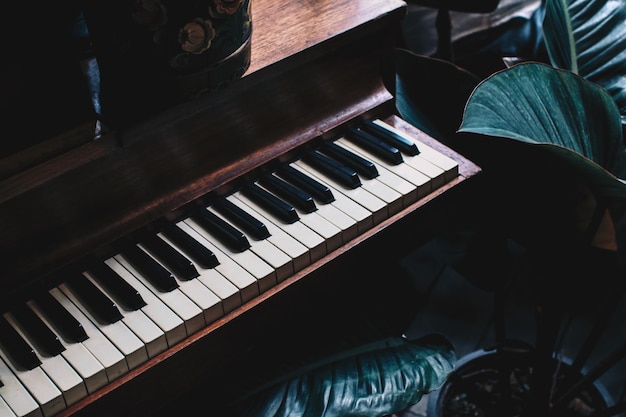 Hooghoekbeeld van een man die piano speelt