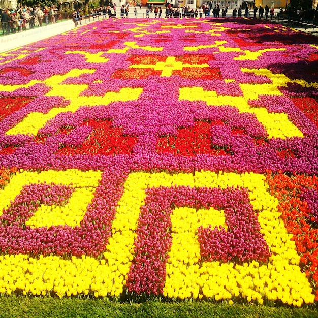 Hooghoekbeeld van een ontworpen bloembed in een park