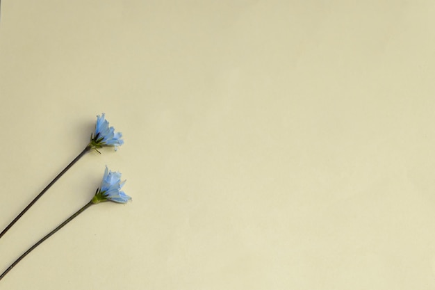 Hooghoekbeeld van een papieren bloem op een witte tafel