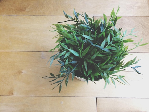 Foto hooghoekbeeld van een potplant op tafel