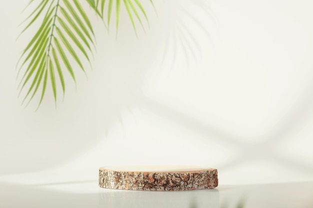 Hooghoekbeeld van een potplant op tafel