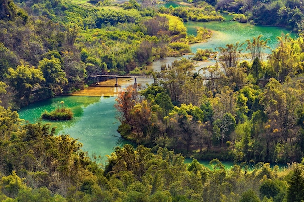 Hooghoekbeeld van een rivier die door het bos loopt