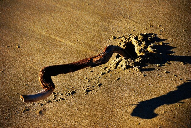 Hooghoekbeeld van een stok in het zand