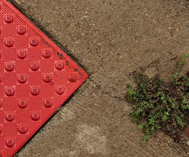 Foto hooghoekbeeld van een voetpad te midden van planten