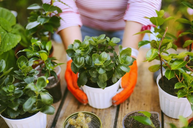 Hooghoekbeeld van een vrouwelijke tuinier