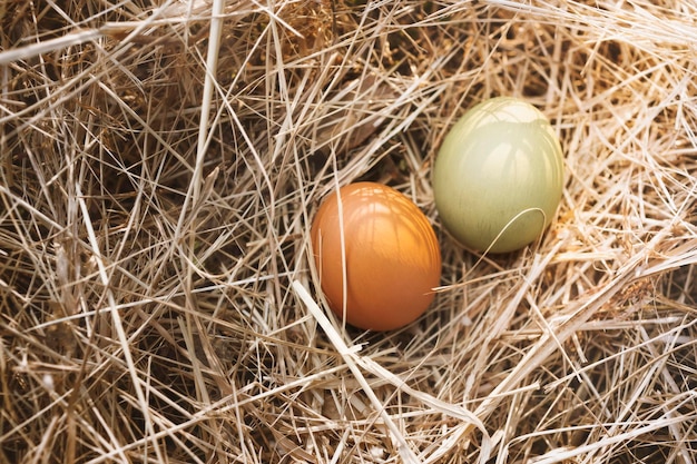 Foto hooghoekbeeld van eieren in het nest