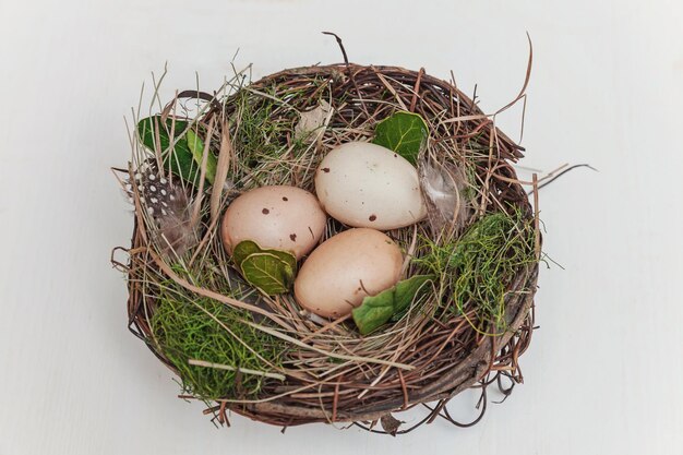 Hooghoekbeeld van eieren in het nest