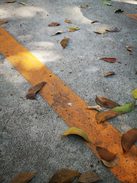 Foto hooghoekbeeld van esdoornbladeren op straat