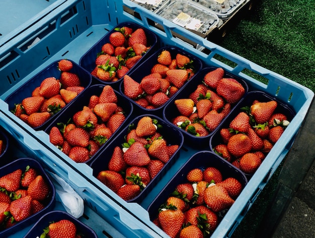 Foto hooghoekbeeld van fruit op de markt