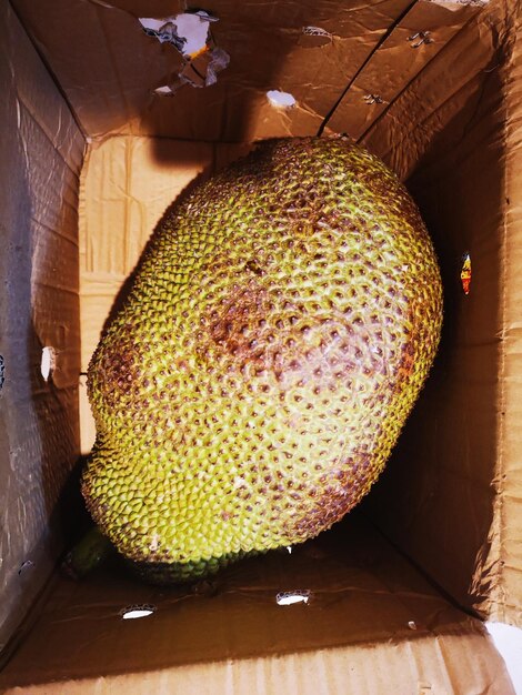 Foto hooghoekbeeld van fruit op tafel