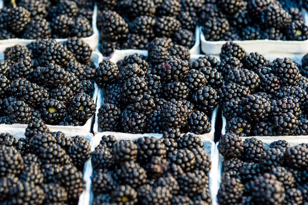 Hooghoekbeeld van fruit voor verkoop op de markt