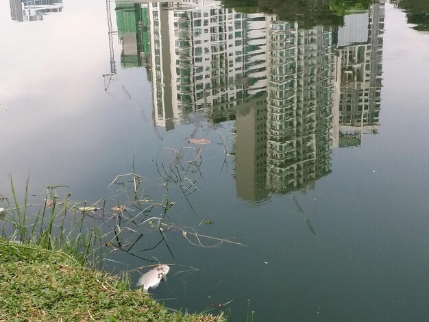 Foto hooghoekbeeld van gebouwen bij een meer in de stad