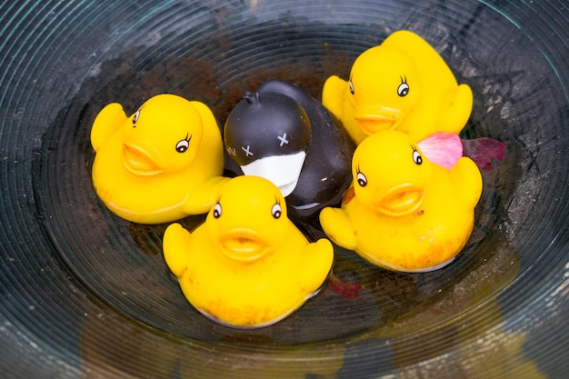 Foto hooghoekbeeld van gele speelgoed dat op het water drijft