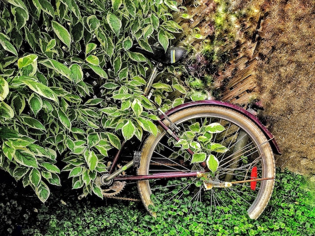Foto hooghoekbeeld van geparkeerde fietsen