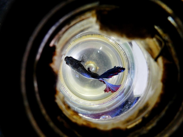 Foto hooghoekbeeld van glas in water