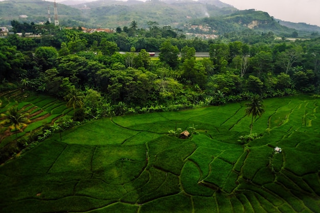 Hooghoekbeeld van groen landschap