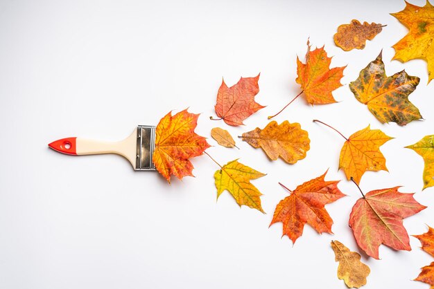 Hooghoekbeeld van herfstbladeren op tafel