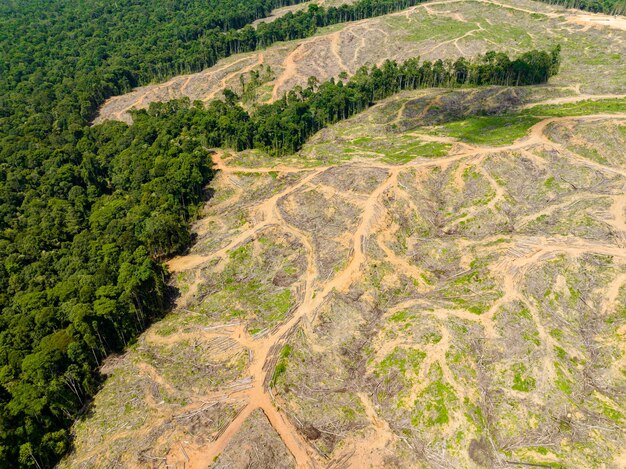 Foto hooghoekbeeld van het landschap