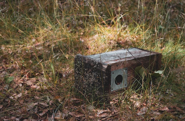 Foto hooghoekbeeld van het oude vogelhuis door het gras