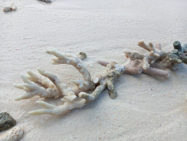 Foto hooghoekbeeld van het strand