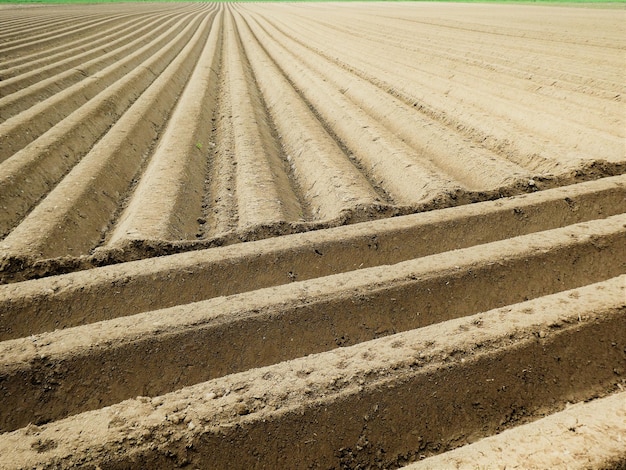 Foto hooghoekbeeld van het veld