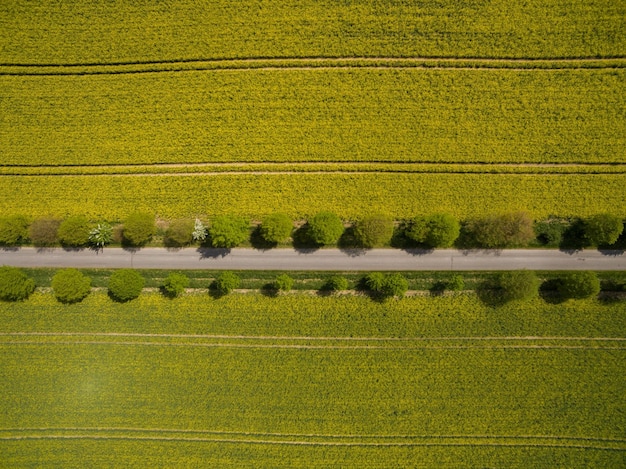 Hooghoekbeeld van het voetbalveld