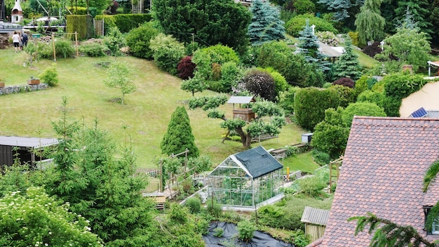 Foto hooghoekbeeld van huizen en bomen