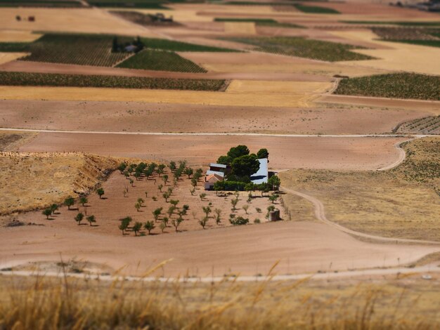 Foto hooghoekbeeld van landbouwveld