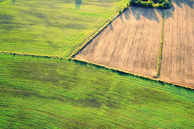 Hooghoekbeeld van landbouwveld