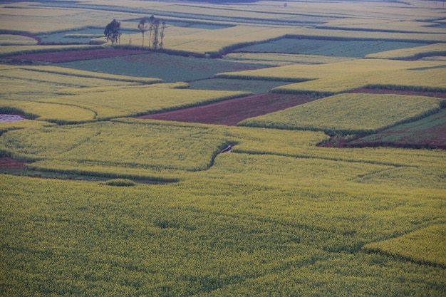 Hooghoekbeeld van landbouwveld