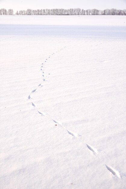 Foto hooghoekbeeld van met sneeuw bedekt land