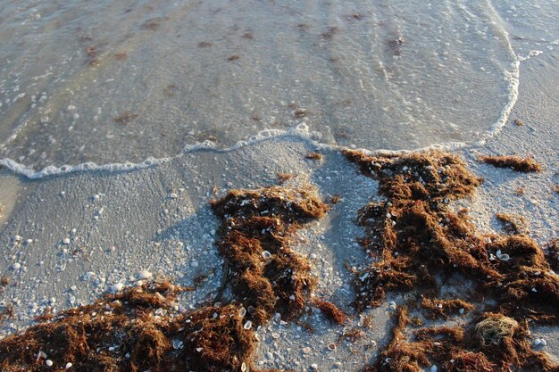 Hooghoekbeeld van nat zand op het strand