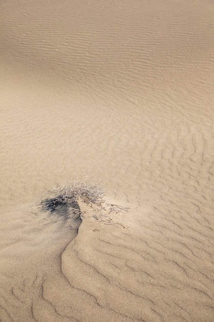 Foto hooghoekbeeld van nat zand op het strand