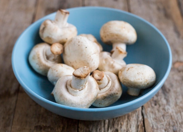 Hooghoekbeeld van paddenstoelen in een schaal