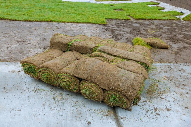 Foto hooghoekbeeld van planten