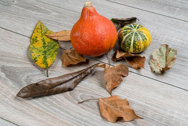 Hooghoekbeeld van pompoenen op tafel