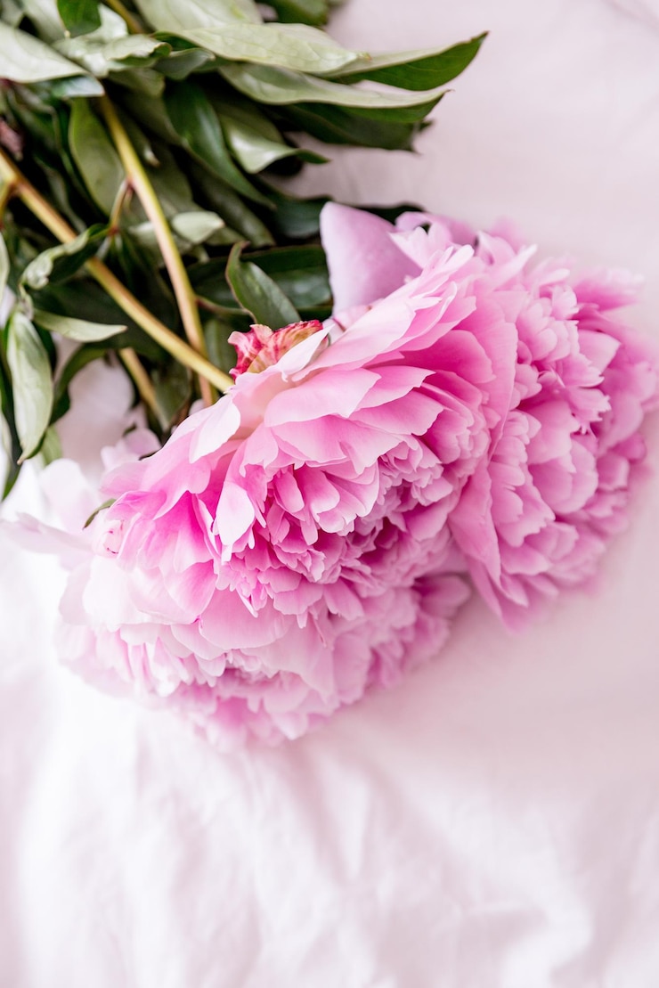 Foto hooghoekbeeld van roze bloemen op bed thuis