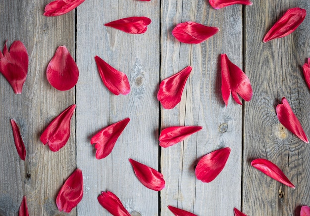 Foto hooghoekbeeld van roze bloemen op een houten vloer