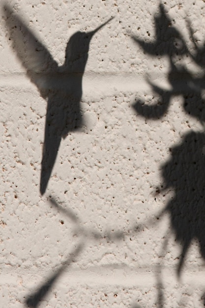 Foto hooghoekbeeld van schaduw op zand
